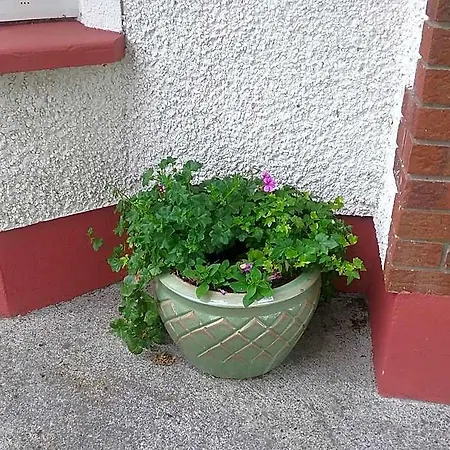 Bed & Breakfast Rocksberry Castlebar