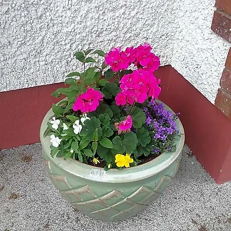 Bed & Breakfast Rocksberry Castlebar