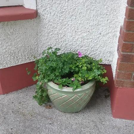 Rocksberry Bed & Breakfast