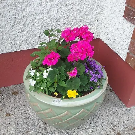 Bed & Breakfast Rocksberry Castlebar