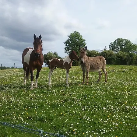 Rocksberry Bed & Breakfast