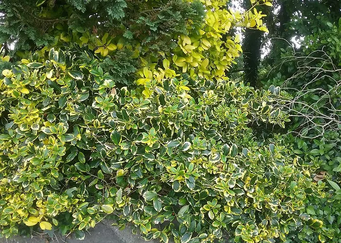 ベッド・アンド・ブレックファスト Rocksberry キャッスルバー